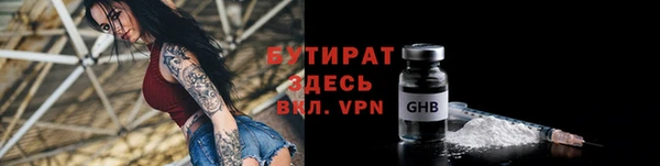 прущие грибы Аркадак