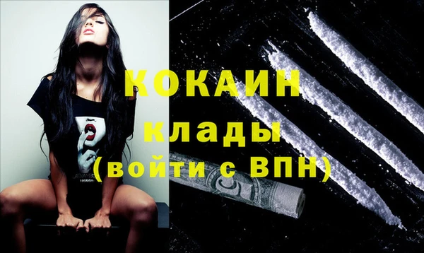 прущие грибы Аркадак