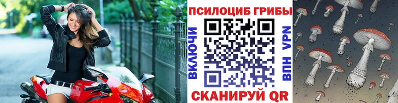 Псилоцибиновые грибы прущие грибы Ступино