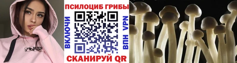МЕГА ССЫЛКА  Ступино  Галлюциногенные грибы Magic Shrooms  цены  